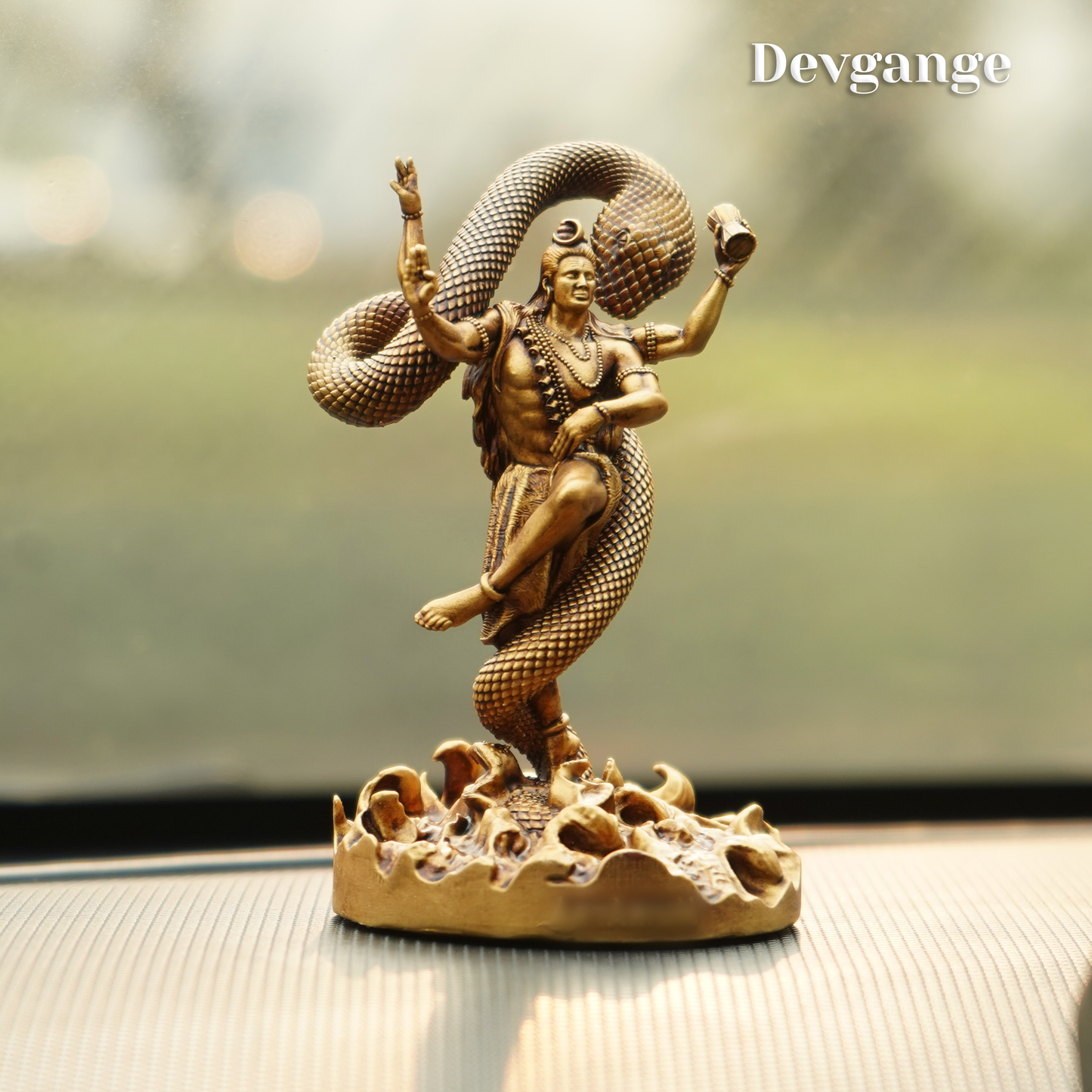 Mystical Shiva